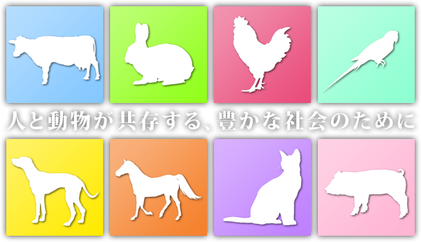 人と動物が共存する、豊かな社会のために